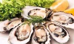 牡蛎的营养成分 为什么牡蛎营养价值高