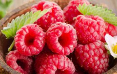 树莓的功效与作用有哪些 树莓的药用功效