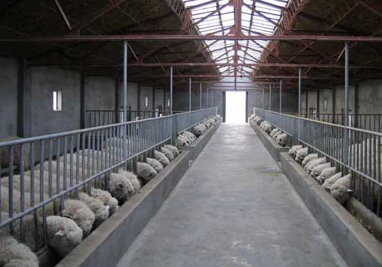 羊养殖场消毒技术要点