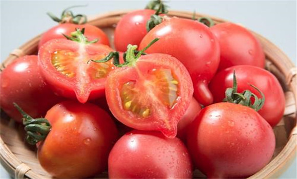 吃西红柿减肥要坚持多久