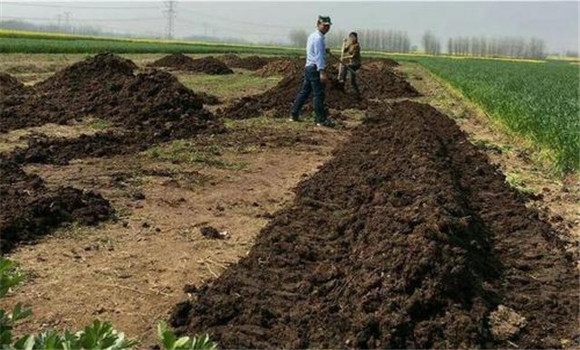 改善土壤理化性状，提高土墩肥力