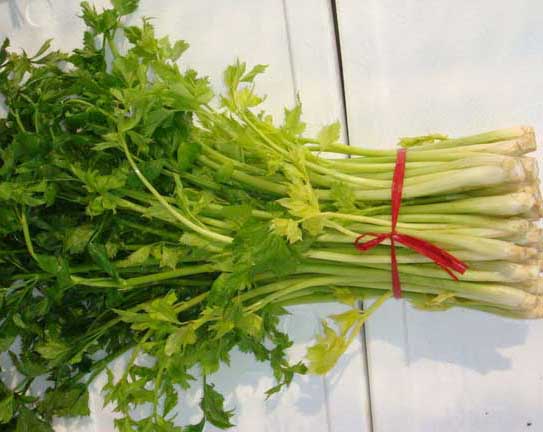 芹菜的营养价值-芹菜的功效与作用-农业百科