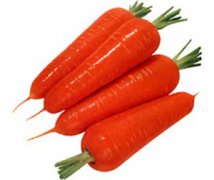 胡萝卜的营养价值和医疗作用