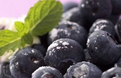 蓝莓的营养价值和食用功效