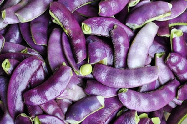 紫色扁豆的营养价值