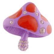 紫色蘑菇是什么（图片） 紫色蘑菇是什么品种