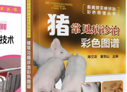 猪常见病防治技术