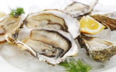 牡蛎的功效与作用及食用方法知多少