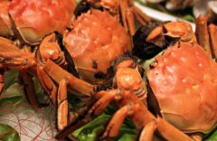 螃蟹的营养价值及功效 螃蟹有什么营养价值