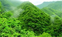 生态公益林培育技术措施
