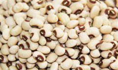 白饭豆的功效与作用 白饭豆的功效有哪些