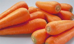胡萝卜的功效与作用有哪些 胡萝卜的营养价值