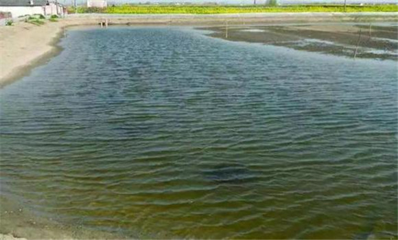 养殖河蟹对水质的要求