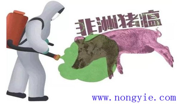 非洲猪瘟的防控措施