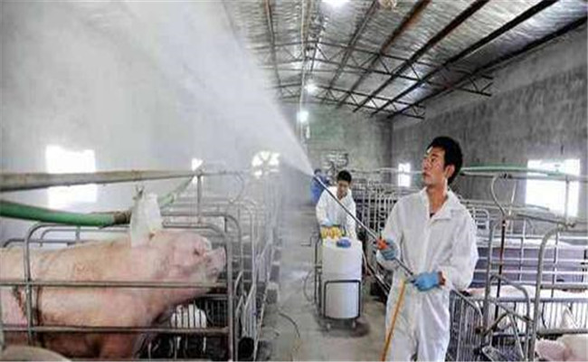 养猪场不同时期的消毒程序