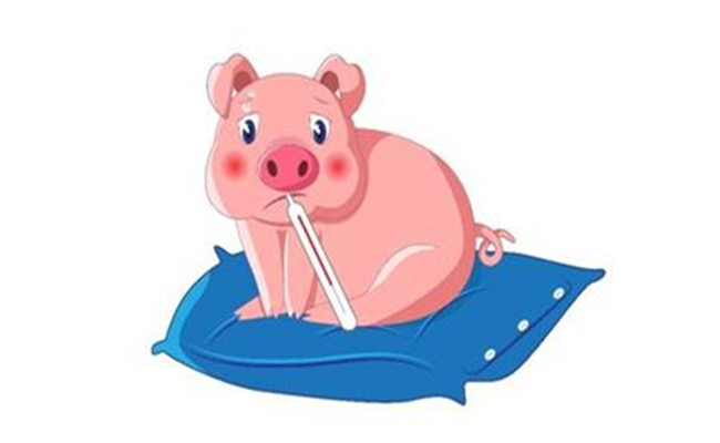 热应激对猪生长的影响