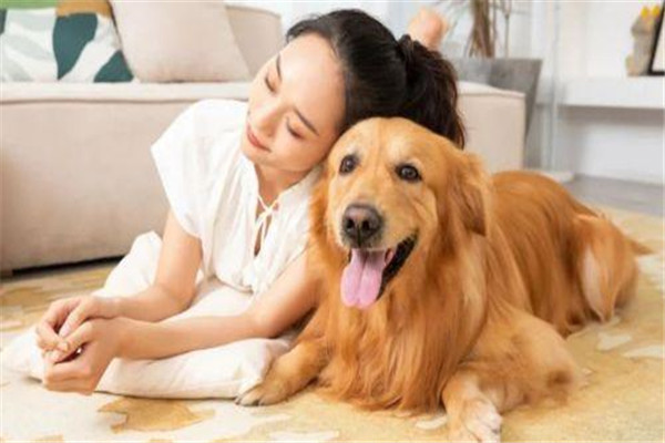 宠物犬对家庭生活及身心健康有何好处