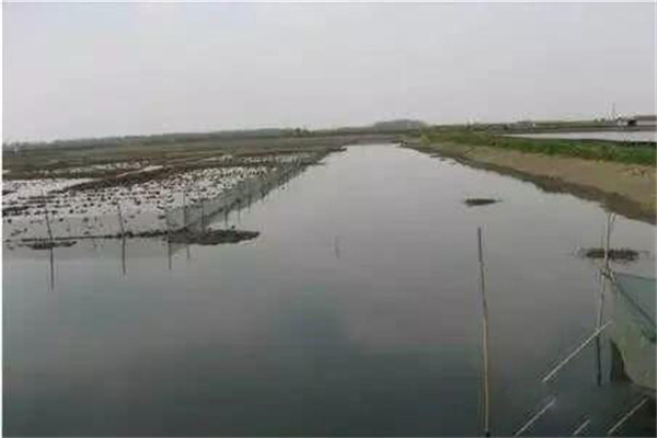 解决河蟹养殖低产甚至亏损的主要措施