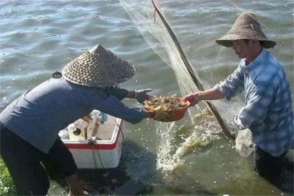 海水蟹类与水环境中致病生物的关系