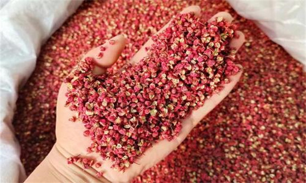 大红袍花椒的分级方法与标准