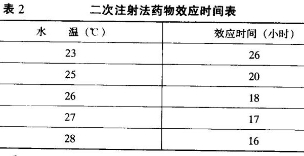 黑鱼养殖技术