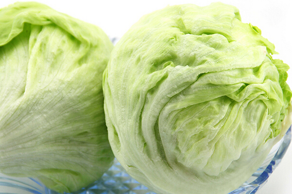 生菜的作用与功效