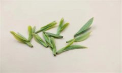茶叶在存放中变质的原因是什么