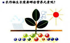 作物三大营养元素是什么 农作物必须的营养元素