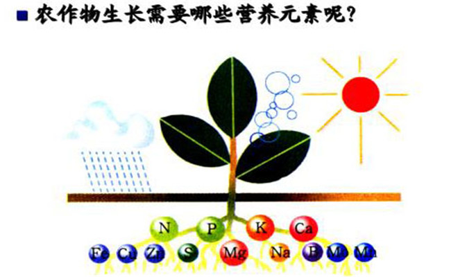 农作物生长的必须营养元素有哪些