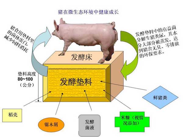 饲料科技