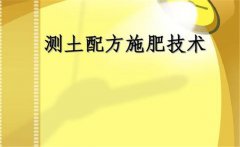 什么是测土配方施肥，测土配方施肥的基本要求