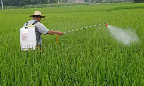 雨季施用农药要注意事项