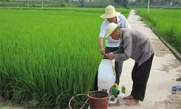 农药混用先后顺序要求