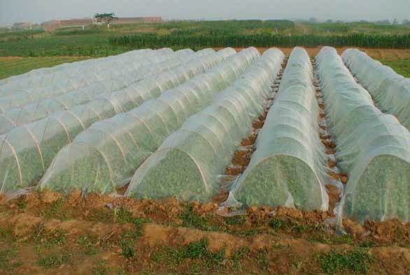 生物农药
