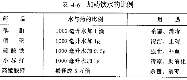 肉鸽管理技术