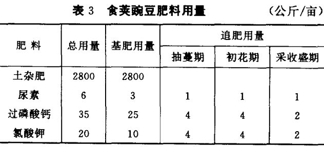 豌豆管理技术