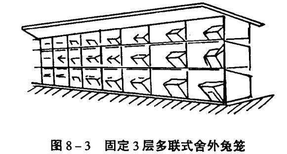 兔养殖技术