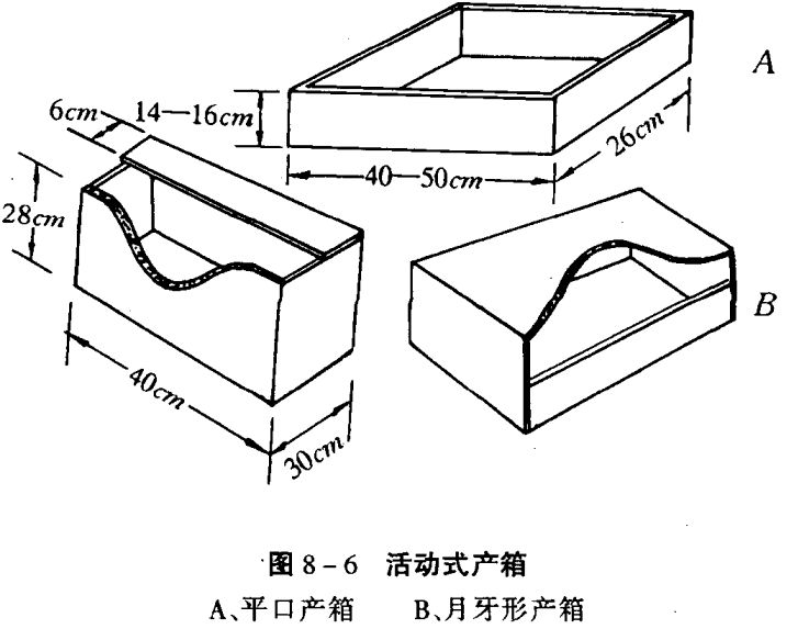 如何养兔