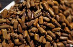 孕妇能喝决明子茶吗