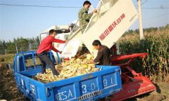 选购和使用玉米收获机应注意的问题