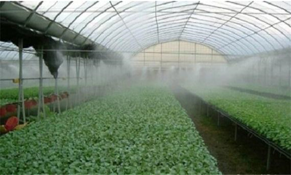 拱圆形塑料大棚的湿度变化情况