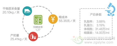 特种动物饲养方法