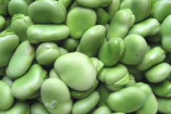 胡豆的功效与作用 胡豆的营养价值