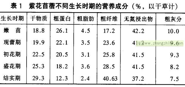 紫花苜蓿的营养价值