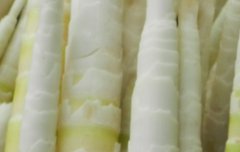竹笋的功效与作用 不同种类竹笋的功效介绍