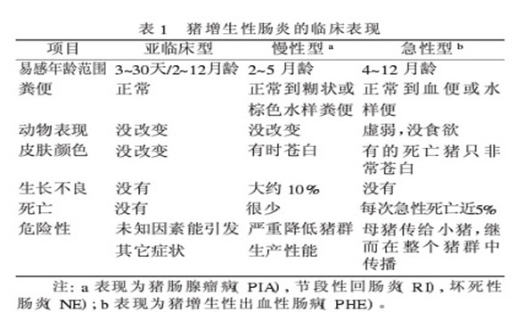 猪增生性肠炎治疗方法