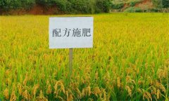 测土配方施肥的意义、作用