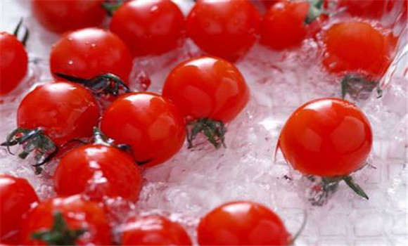 西红柿保鲜方法