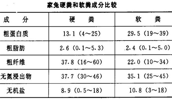 家兔的食粪行为