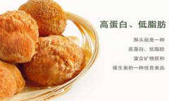 猴头菇的食疗价值 猴头菇的功效与作用及禁忌